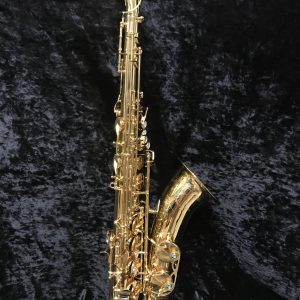 Yanasigawa W01 Tenor Saxophone